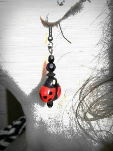 Boucles coccinnelles