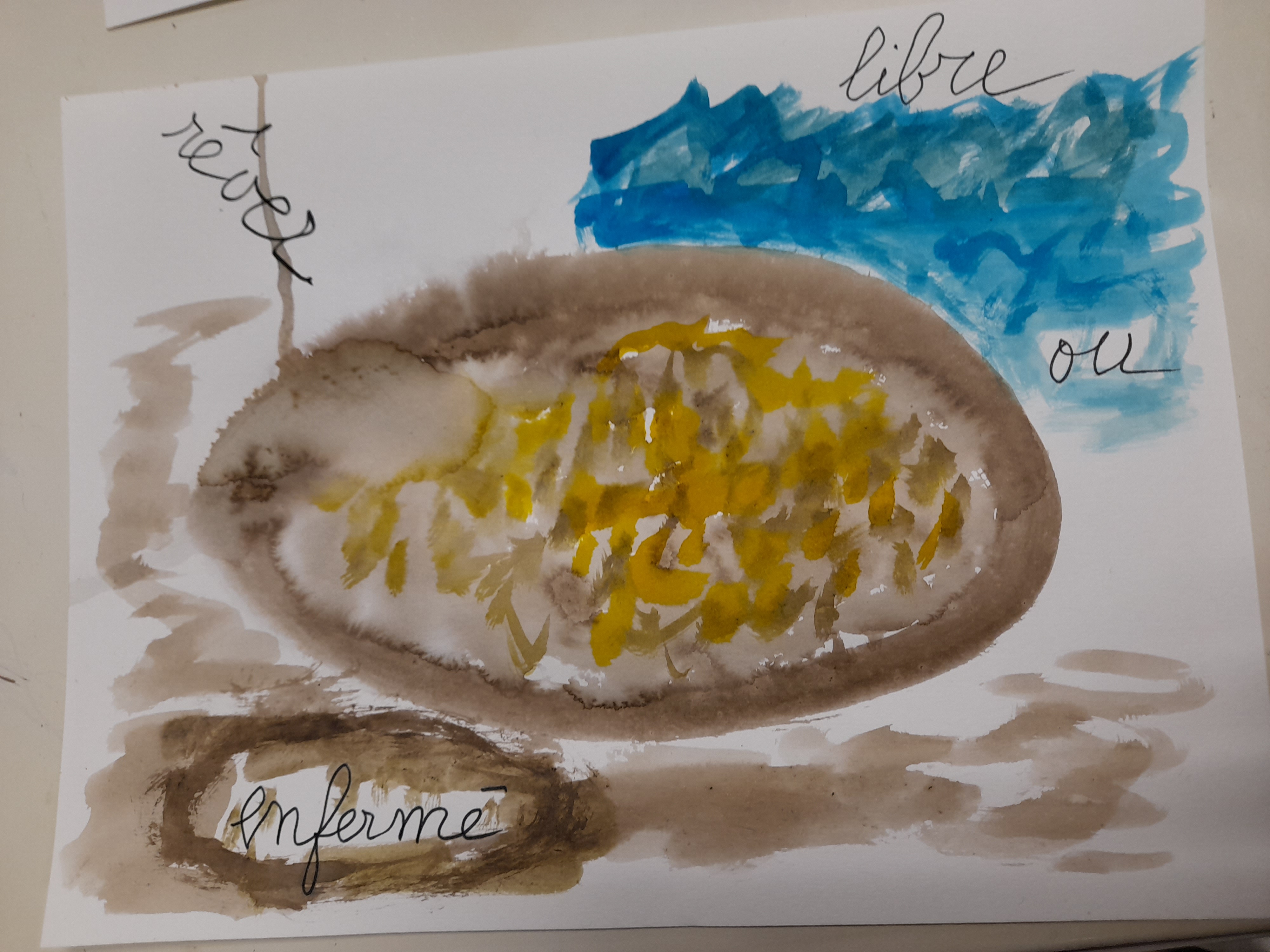 Caillou Marie-Dominique